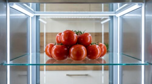 Wie lange kann man Tomaten im Kühlschrank aufbewahren, damit sie frisch und fest bleiben?